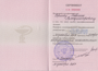 Сертификат2